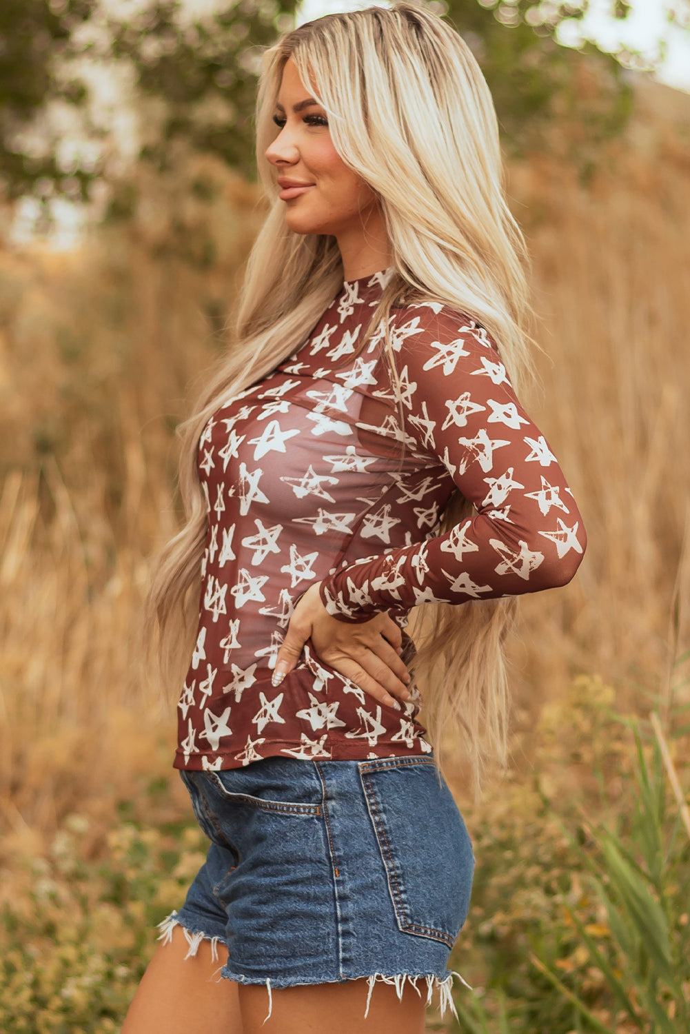 Red Mesh Star Print Mock Neck Sheath Long Sleeve Top