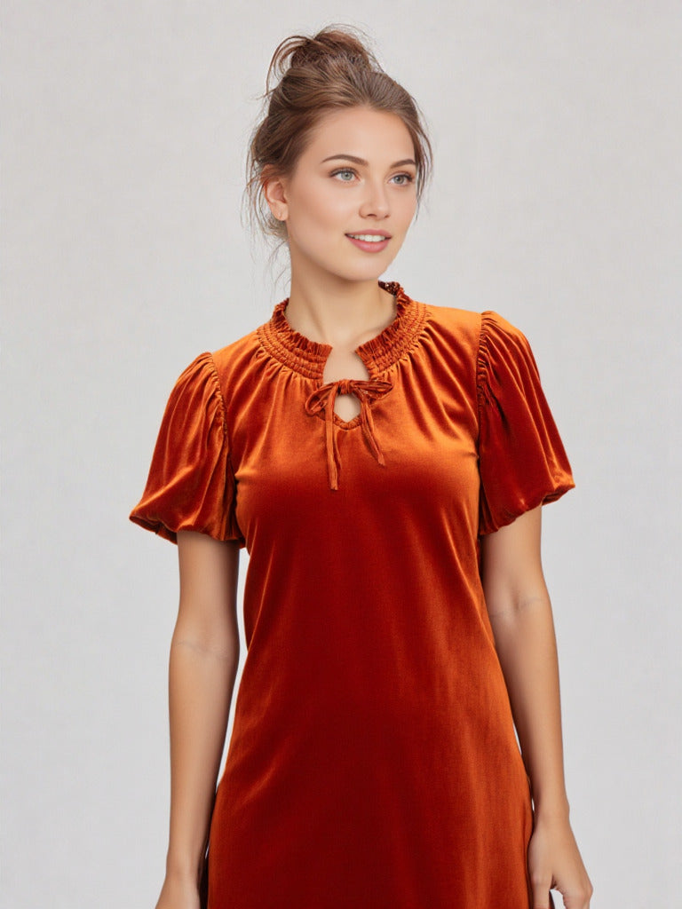 Rust Velvet Dress