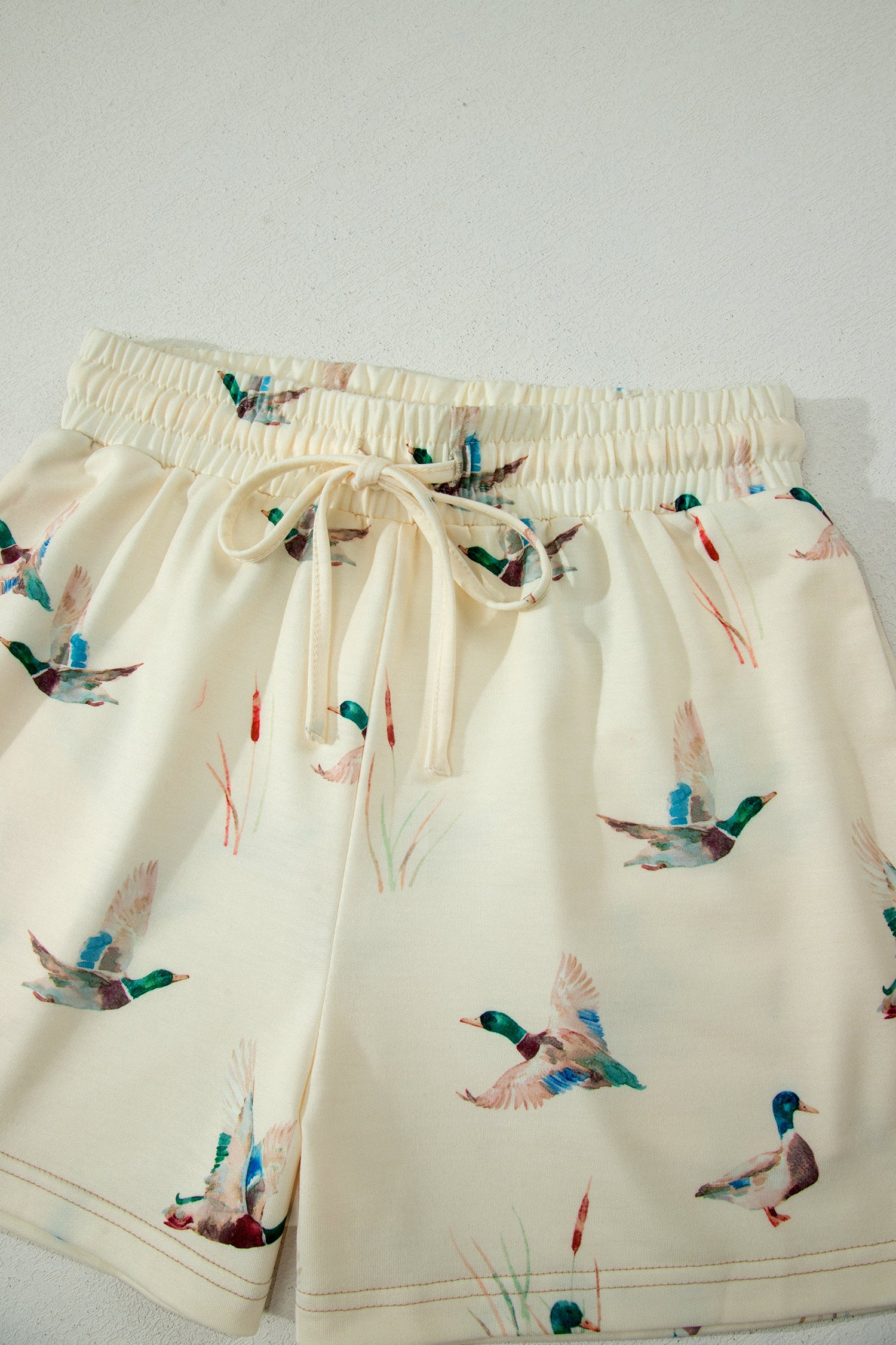 Mallard Mischief Set